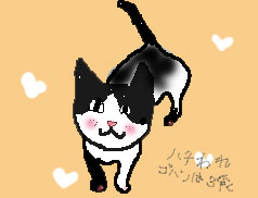 はちわれ猫